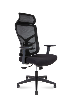 Asper (Черный пластик/ Черная сетка/ Черная сидушка)